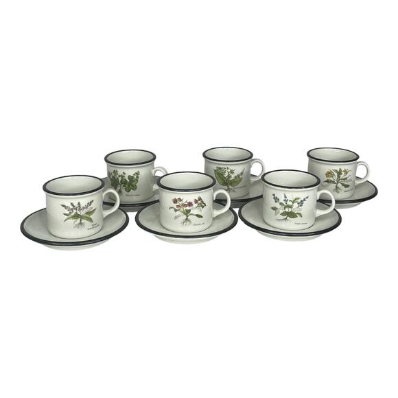 ITALIAN Set (6) Espresso Tea IPA CUPS & SAUCERS Demitasse Botanic Garden Flowers - Picture 1 of 14